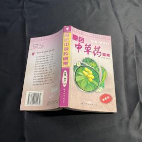 原色中草药图集.花果·种子2