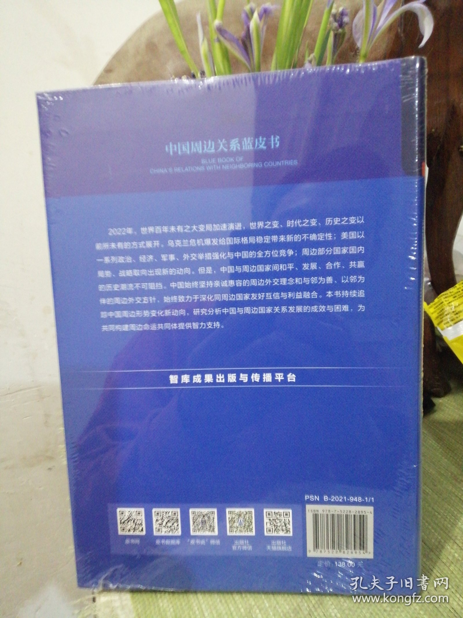 中国与周边国家关系发展报告 2023