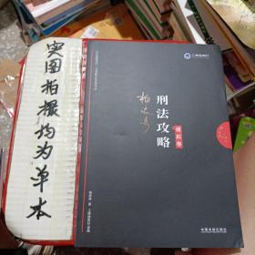 司法考试2019上律指南针2019国家统一法律职业资格考试刑法攻略·模拟卷