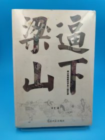 逼下梁山——梁山泊情报头子羊二回忆录 一本诙谐到残酷的人性启示录