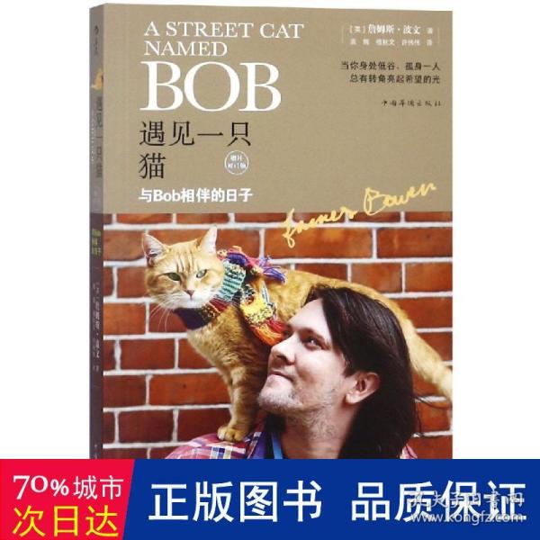 遇见一只猫:与Bob相伴的日子