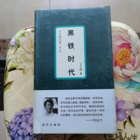 黑铁时代：王小波全集：8