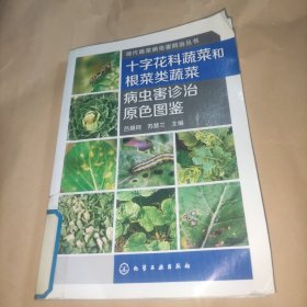 现代蔬菜病虫害防治丛书：十字花科蔬菜和根菜类蔬菜病虫害诊治原色图鉴