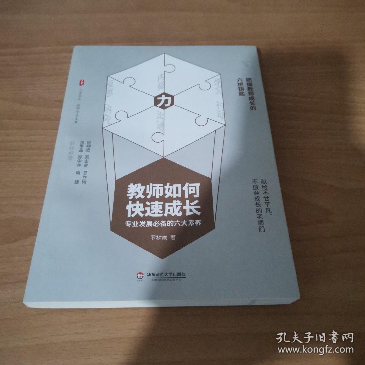 教师如何快速成长：专业发展必备的六大素养 大夏书系
