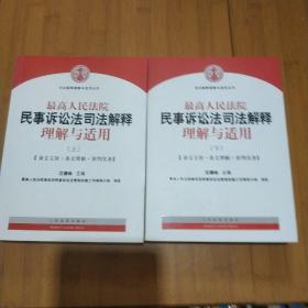 最高人民法院民事诉讼法司法解释理解与适用