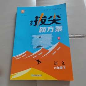 小学拔尖新方案 六年级下册