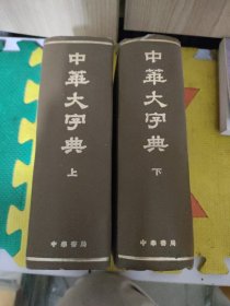 中华大字典上下册