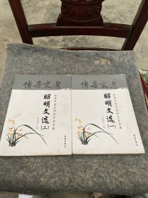 中华藏典·传世文选：昭明文选（全二册）