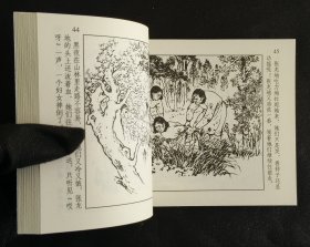 张龙地报信（大师王井～作品）50开平装本