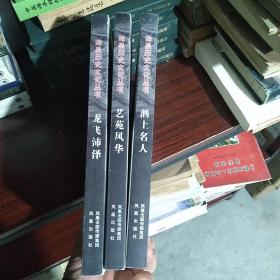 沛县历史文化丛书《龙飞沛泽》《艺苑风华》《泗上名人》三册合售