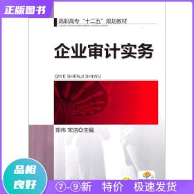 企业审计实务/高职高专“十二五”规划教材