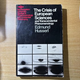 The Crisis of European Sciences and Transcendental Phenomenology：An Introduction to Phenomenological Philosophy 国内现货