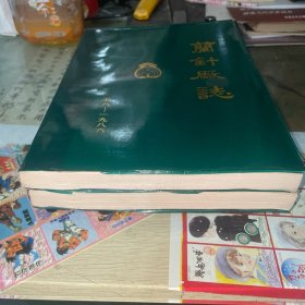 兰针厂志 上下册