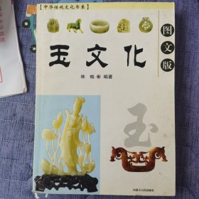 中华传统文化书系：起居文化（图文版）