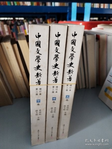 中国文学史新著