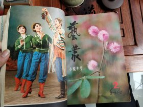 八十年代文学丛书25本合售 艺术世界1981年第1-6期（6本） 芙蓉文学丛刊创刊号1980年第一期（1本） 青春1980年第7-12期（6本） 上海文学第1、2、3、10、11、12期（6本） 人民文学1976年第5期（1本） 小说选刊1981年第12期（1本） 艺丛1981年第1、2、3期（3本） 解放军文艺1980第4期（1本）