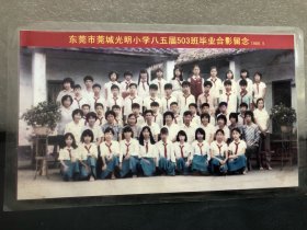 东莞老照片——东莞市莞城光明小学八五届503班毕业合影留念1985.5（过塑）