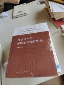 社会资本与中国农村经济发展