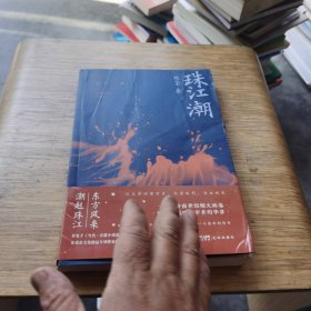 珠江潮（陈玺继《风吹麦浪》又一长篇，他们是改革开放洪流中鲜活的群像，扎根在狮门村巷，带着浓墨的市井烟火、人情纠葛，道尽独特的岭南小镇气息）？图片有折页