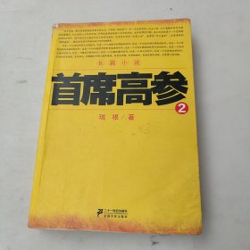 《首席高参2》