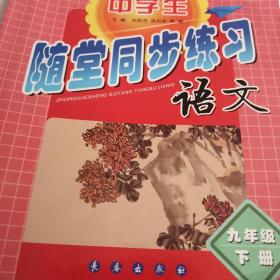 中学生随堂同步练习语文九年级下册