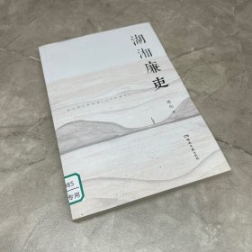 湖湘廉吏
