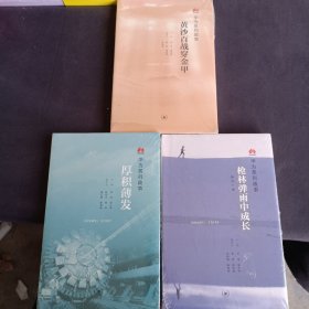 华为系列故事：黄沙百战穿金甲.厚积薄发.枪林弹雨中成长（修订1版）（3本合售）