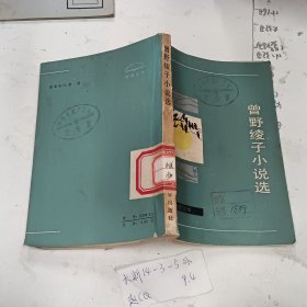 曹野绫子小说选