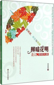 柳暗花明:走过婚姻风暴:divorce,single parenthood and remarriage