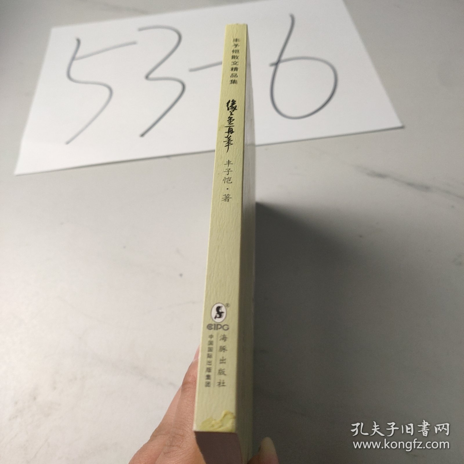 丰子恺散文精品集：缘缘堂再笔