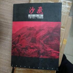 沙飞纪念集：The commemorative album of Sha Fei