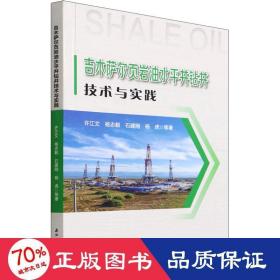 吉木萨尔页岩油水平井钻井技术与实践