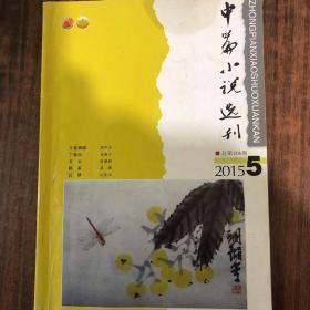 中篇小说选刊206期