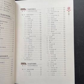 广东省民间艺术志、广东省民间艺术传承人志（全套两册合售）