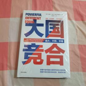 大国竞合：把握中美关系的未来走势、挑战和机遇【全新】