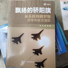 飘扬的骄阳旗：从苏联到俄罗斯空军和防空部队