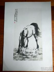 悲鸿画马集