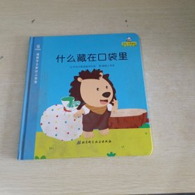 什么藏在口袋里