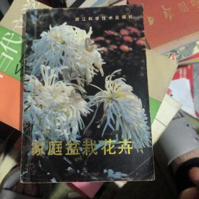 家庭盆栽花卉