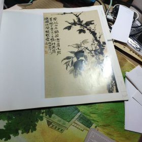 荣宝斋画谱 古代部分十六 清·石涛绘 （二）花卉荣宝斋画谱