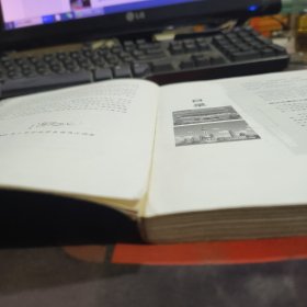 中国城市批判（如图书脊有瑕疵 扉页有瑕疵）