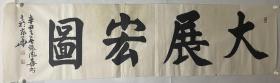 张凤喜书法作品（大展宏图）