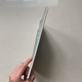 杨帆讲三国法之精粹2