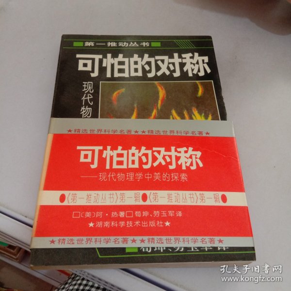 可怕的对称：现代物理学中美的探索