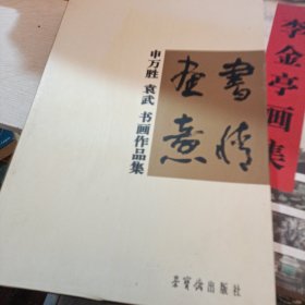 《书情画意：申万胜、袁武书画作品集》（全三册）带外壳