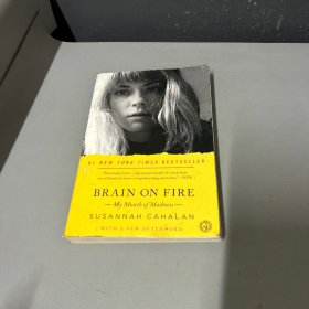 Brain on Fire：My Month of Madness（封面破损。脊梁破损，右侧边口水印压损介意勿拍）