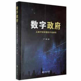 数字：从数字到智慧的升级路径 政治理论 严谨 新华正版