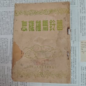 怎样种马铃薯