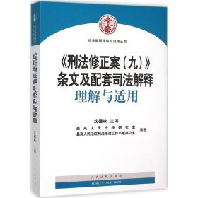 《刑法修正案（九）》条文及配套司法解释理解与适用