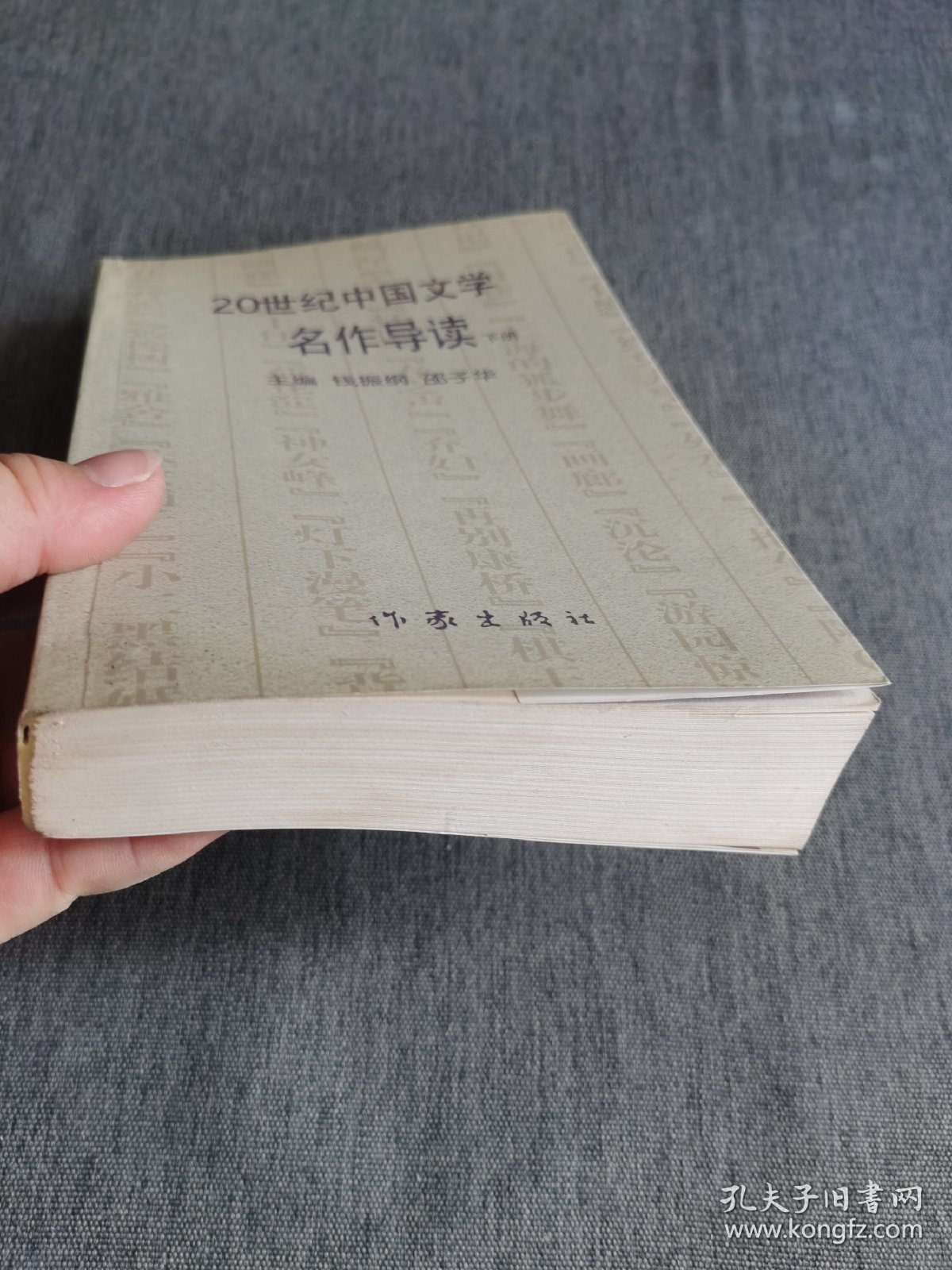 20世纪中国文学名作导读【下册】
